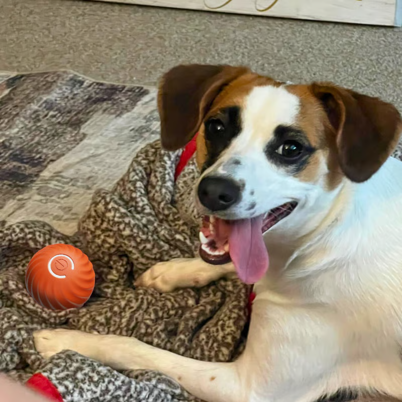 🔥Oferta 2025 50% de descuento💥 - Juguetes interactivos para perros Pelota para perros