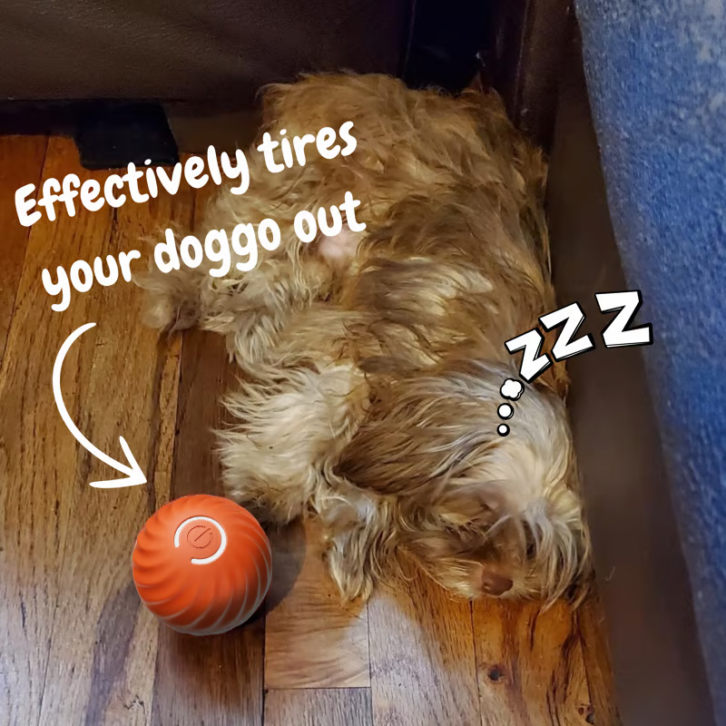 🔥Oferta 2025 50% de descuento💥 - Juguetes interactivos para perros Pelota para perros