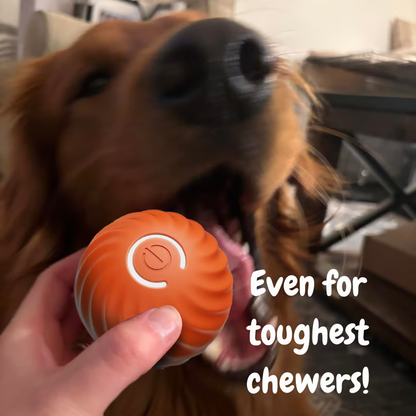 🔥Oferta 2025 50% de descuento💥 - Juguetes interactivos para perros Pelota para perros